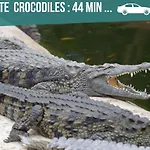 Entier Meuble A Proche Futuroscope Et Poitiers Technopole *