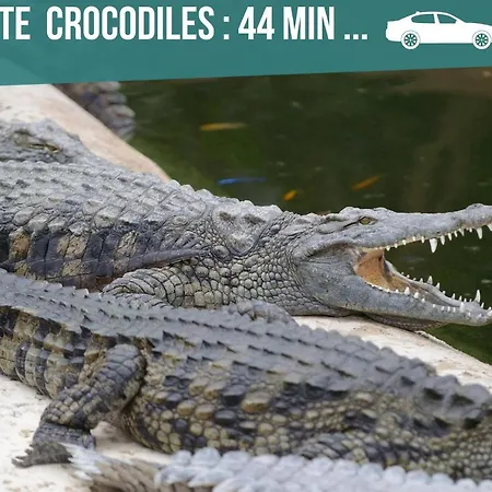 Entier Meuble A Proche Futuroscope Et Poitiers Technopole *