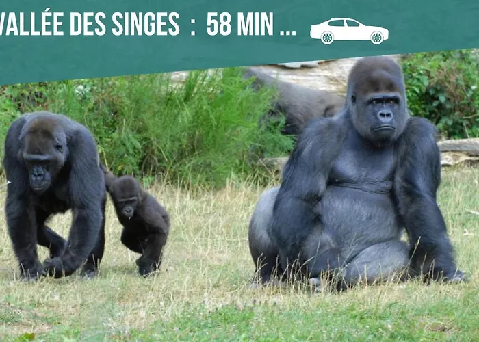 Entier Meublé à Proche Futuroscope Et Poitiers Technopole * Beaumont (Vienne)